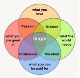 screen-shot-2017-02-21-at-8-32-59-pm